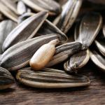 Sunflower seeds in shell Sunflower Seeds 5009 Dried raw sunflower seed kernels