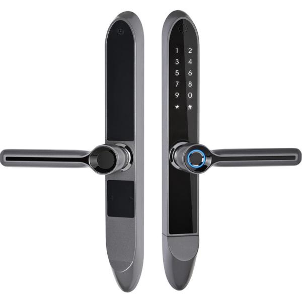 Cheap IP65 Antifreezing Aluminum Frame Fingerprint Glass Door Smart Lock for sale