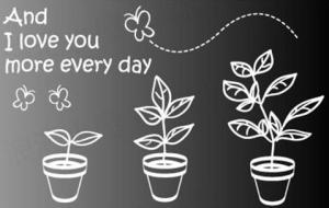 Quality The Beautiful Spring PVC Transfer Film Wall Sticker B041 wholesale