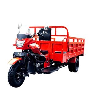 Quality DAYANG Lifan 250CC 300CC Cargo Motorized Tricycle with 5.0 inch Wheels and Orange Body wholesale