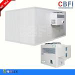 Hotel Supermarket Commercial Blast Chiller With LG Electrical Components
