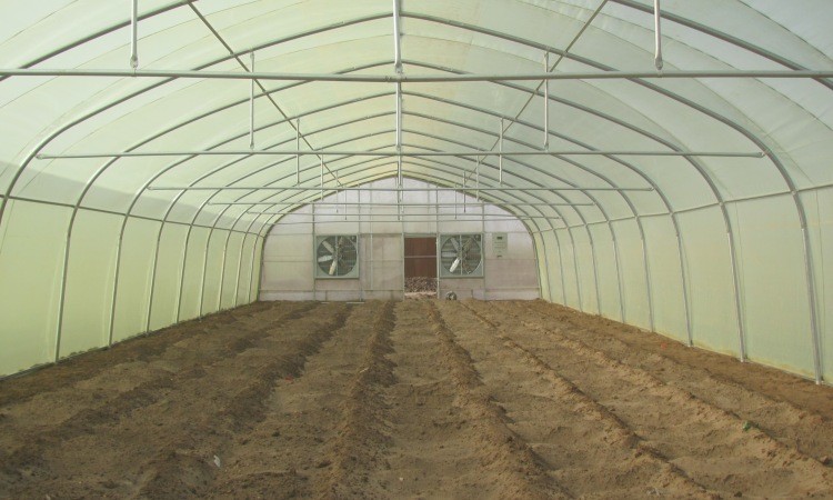 Hot Dip Galvanized Pipe High Tunnel Greenhouse Customizable Agriculture Greenhouse
