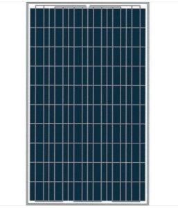 Quality 10W 15W 20W 30W..250W Solar Pannel For Sale wholesale