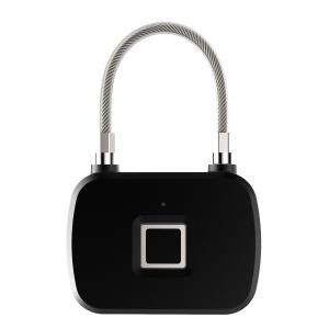 Quality L13 Plastic ABS NO Cylinder Bags Door Digital Padlock wholesale