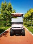 Pink Color 4 Seater Golf Cart Wheelbase 1630mm AC Motor 3.5 KW Ground Clearance