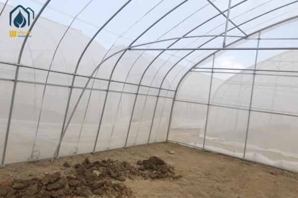 Agricultural Plastic Polytunnel Greenhouse Single Span For Vegetable Fruits