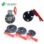 Plastic Gray Industrial Valve CPVC PVC Ball Valve Water Butterfly Valve