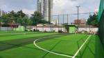 8000-15000 Dtex Artificial Football Turf With Disease Resistance 16.5 Stitches