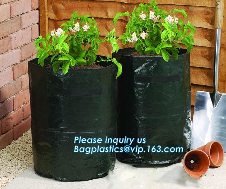 100 /200/300 gallon tan tree grow bag 100gallon grow bag for plant trees,vegetables grow bags planting bags growing bags