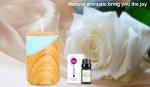 160ml Portable Wood Grain Oil Diffuser For Hotel