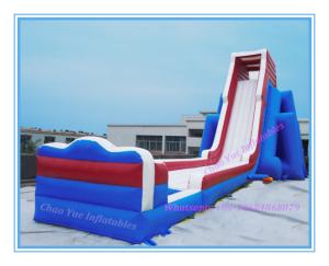 Quality 2015 Giant Inflatable Water Pool Slide for Amusement Park (CY-M2131) wholesale