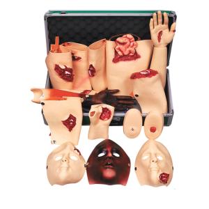 Quality First Aid Trauma Simulaids Cpr Manikins 30cm High wholesale