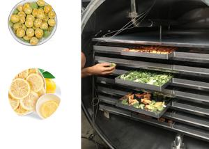 Quality Fruits Vegetables Industrial Freeze Machine 100kg/Batch wholesale