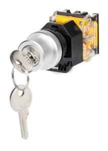 Quality LAN38 Series Push Button Switch wholesale