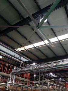 Quality Modern Warehouse Ceiling Fans 7Ft Diameter Small Industrial Ceiling Fan wholesale