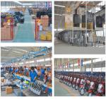 500 Watt Adults 40km/H Electric Cargo Tricycle