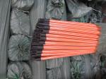Floor Eucalyptus Wood 1200mm Wooden Mop Handles