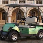 1000kg 100km Passenger Limo Golf Cart Custom