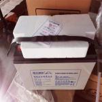 AGM12V100AH Ris Lead Acid Maintenance-Free Battery for Solar Energy Storage and