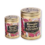 Metal Printed Salve Tins Vintage Tin Container Tin Tea Canister Empty Popcorn