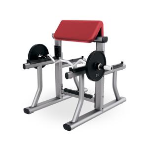 Quality Biceps Gym Fitness Equipment , Forearm Curl Machine Luxury Outstanding Performance wholesale