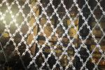 South Africa Bto22 Hot Dipped Galvanized Concertina Razor Barbed Wire Fence For
