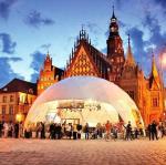 Gray Portable Geodesic Dome Tent , Movable PVC Dome Event Tent