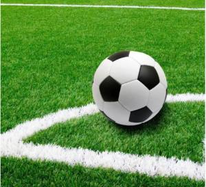 Quality UV Resistant Synthetic Turf 50mm Football Court Artificial Grass For Sport field wholesale