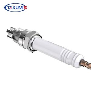 Quality R10p3 Industrial Spark Plug wholesale