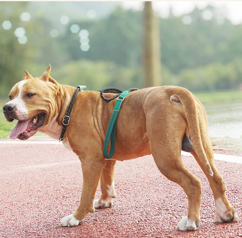 Quick Release Military Dog Lead ODM Tactical Retractable Dog Leash Nylon