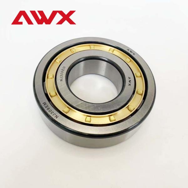 High Precision Cylindrical Roller Bearing N NJ NU NJ210EM NJ211EM NJ212EM