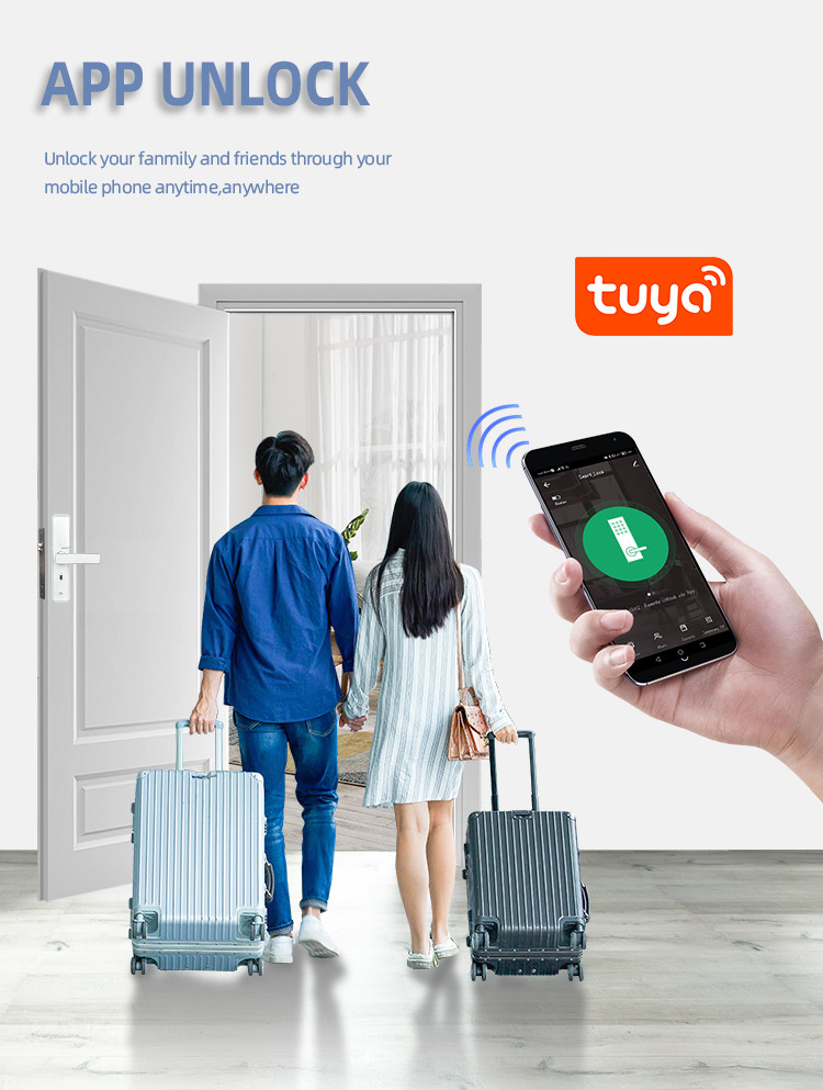 Keyless Commercial Smart Lock SDK Network Home Assistant Door Lock