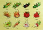 Wood Material DIY Craft Gifts 3D Embossed Education Stickers For Arab Children