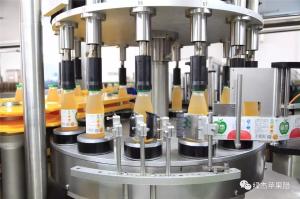 Quality Round Bottle Rotary Labeler With Rotation Dish Labeling Machine System wholesale