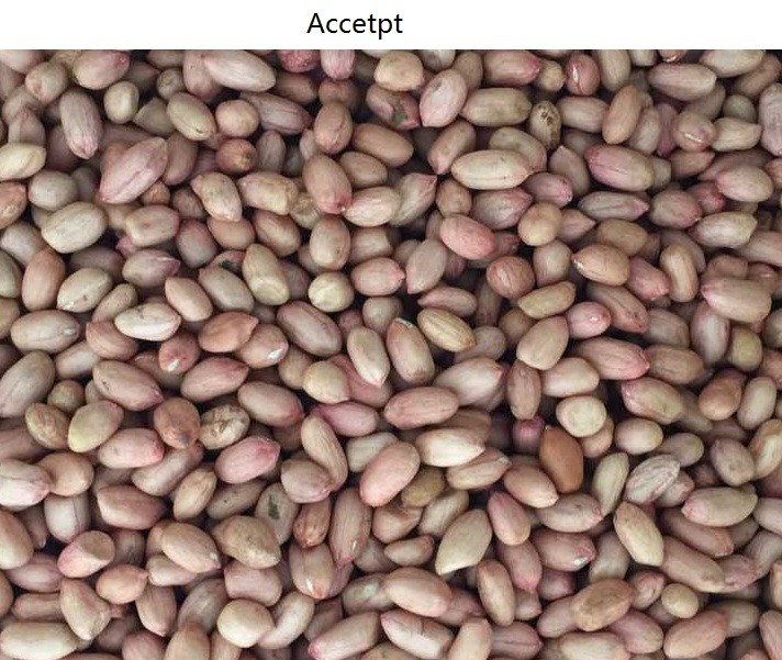 Rustproof Aluminum Alloy Peanut Color Sorter