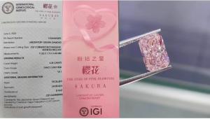 Quality Fancy Sakura Pink Diamond Lab Created Colored Pink Lab Grown Diamond wholesale