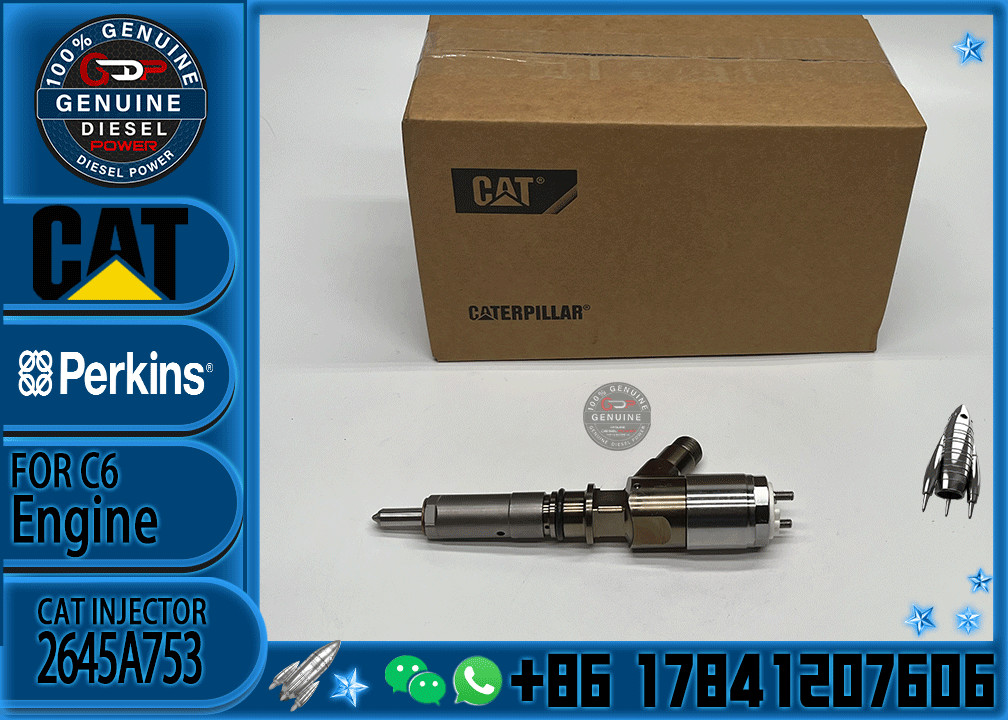 320-0688 Fuel Common Rail Injector 10R-7939 2645A747 2645A749 2645A753 for Perkins diesel engine fuel injector
