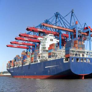 Quality China To Canada 25 Days Door To Door Sea Shipping wholesale