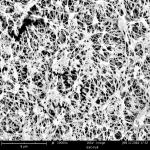 Hydrophobic EPTFE Microporous Membrane 0.22/0.45/1.2/3μm With PP Or PET Support