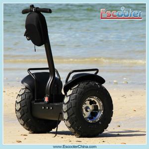 Quality mini new two wheels self balancing electric chariot wholesale