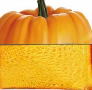 Quality Direct Wholesale Pumpkin Toast with Retail Bulk Package wholesale