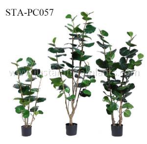 Quality Real Touch Artificial Decorative Trees Artificial House Plant 4 Feet 5 Feet 6 Feet Wide Leaf wholesale