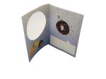 Artificial Christmas Voice Recordable Greeting Cards With Fiber Optic LED Lights