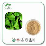 Water Soluble Top Sale 100%Herbal Medicine Ginkgo Biloba Leaf Extract