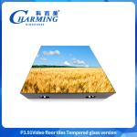 500*500mm Strong GOB led Indoor Party Events Led Video Dance Floor Tile High