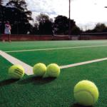 Fake Putting Green Four Season Green Pro Enviroment Plastic Easy To Clean