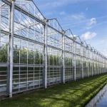 Hot Dip Galvanizing Steel Frame Photovoltaic Solar Venlo Glass Greenhouse Multi