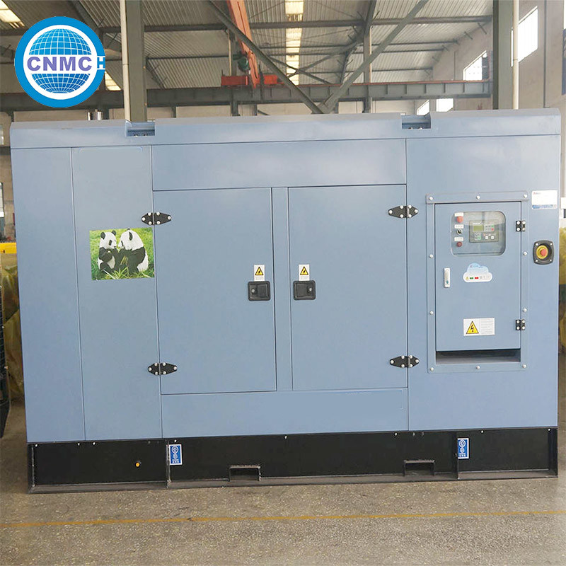 50Hz 60Hz CUMMINS Diesel Generator Multi Function Electric Manual