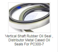 BABSL High Pressure Rotary Shaft CFW Rubber Oil Seal