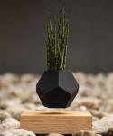 Magnetic levitation Plant Pot & Base Creative Potted Plants flower plant pot